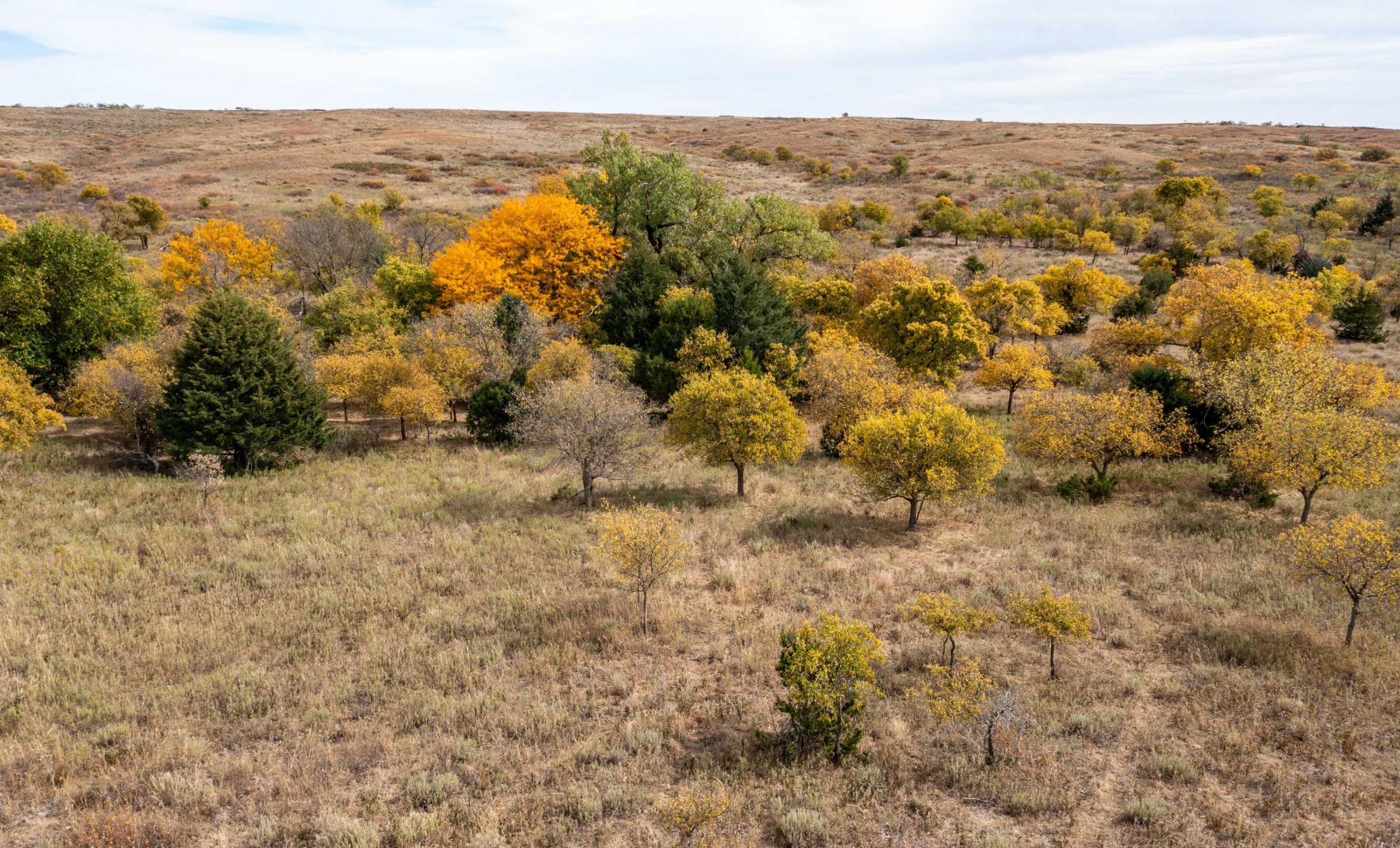 Diamond B Ranch | Chas S. Middleton